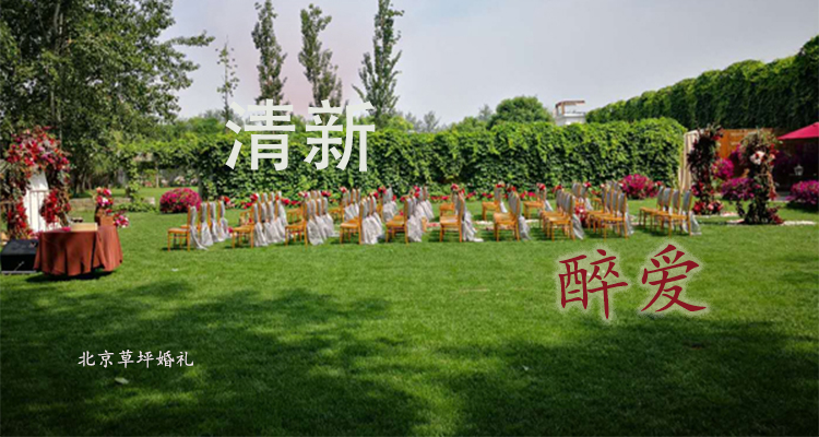 北京个人草坪婚礼策划：清新醉爱