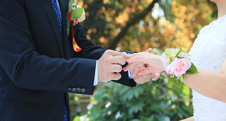 北京定制婚礼：2022年5月2日第四十六届北京“爱情海”婚礼+园林拍照